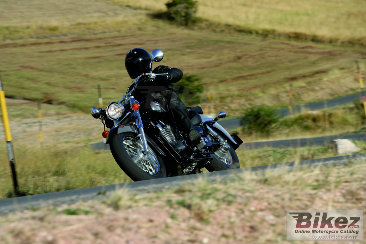 Big Honda vt750c shadow picture and wallpaper from Bikez.com